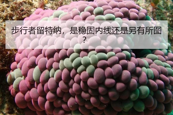 bu-xing-zhe-liu-te-na-shi-wen-gu-nei-xian-hai-shi-ling-you-suo-tu-2-545.jpg